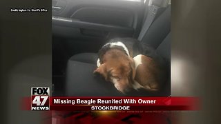 Missing dog reunited with owner months later