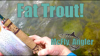 Why a Longer Rod? This proves its better for midges - McFly Angler Episode 13