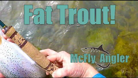 Why a Longer Rod? This proves its better for midges - McFly Angler Episode 13