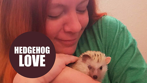 Woman goes on first dates for cash to support her hedgehog rescue center