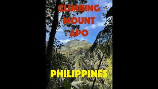 Climbing Mount Apo (tallest mountain in the Philippines). Mindanao.