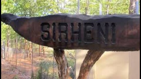 Sirheni bush camp in the Kruger National Park South Africa