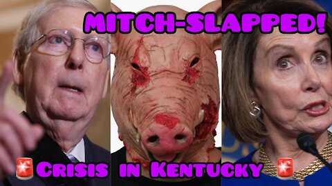 Vandals Mitch Slap McConnel's property over stimulus (Allegedly)