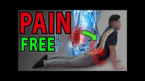 6 Absolute Best Exercises for Low Back Pain!