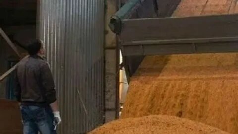 Russia terminates grain deal