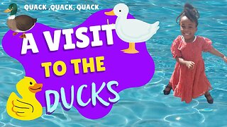 A Visit to The Ducks!