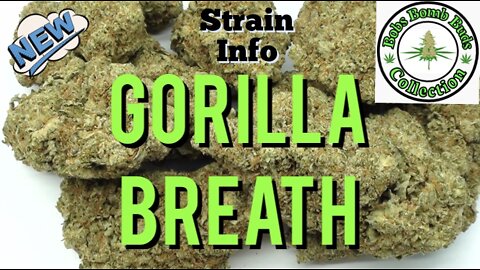 Gorilla Breath
