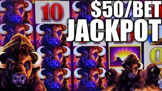 $50/BET JACKPOT on BUFFALO HIGH LIMIT SLOT MACHINE