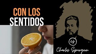 Con los sentidos (Cantares 2:3) Devocional de hoy Charles Spurgeon