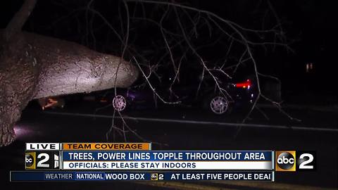 Trees, Power lines topple throughout area