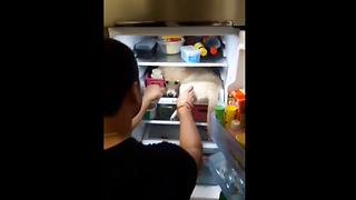 Puppy Has Found A Chilling Spot In The Fridge And Totally Enjoys It
