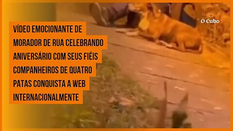 Morador de rua celebrando aniversário com seus fiéis companheiros de quatro patas