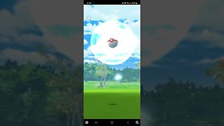 Pokémon GO-Shiny Shadow Pineco