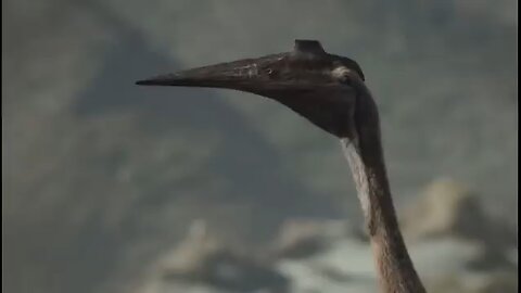 Quetzalcoatlus challenging Tyrannosaurus