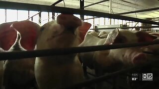 Meatpacking facilities affected by coronavirus