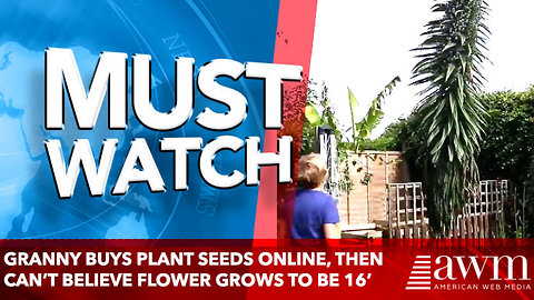Granny Buys Plant Seeds Online, Then Can’t Believe Flower Grows To Be 16’