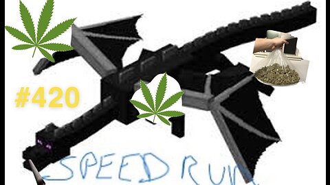 #420 Ender Dragon Speed Run 1follower=1hit