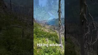 Take breaks on the trail. #hiking #pnw #hikingtrails #nature #hikingdestinations #solohiking