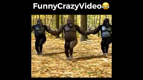 Mr FunnyCrazyVideo😂 Just Incredible Video Funny and Crazy #Like Follow for Follow 🥰