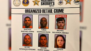 Sheriff: Retail theft suspects stole more than $2 million in health, beauty products across Florida