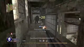 Collat 29