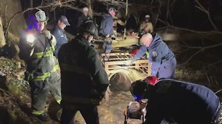 Labrador Is Rescued From Storm Drain