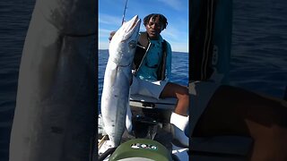 Would you eat this fish? #Fishing #Barracuda #BigFish
