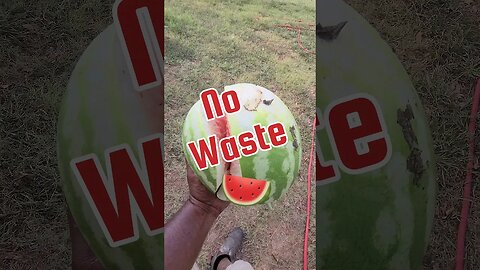 No Waste 🍉