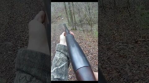 shotgun, 16 gauge