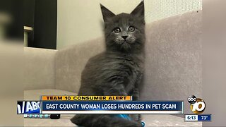 East County woman loses hundreds of dollars in pet scam