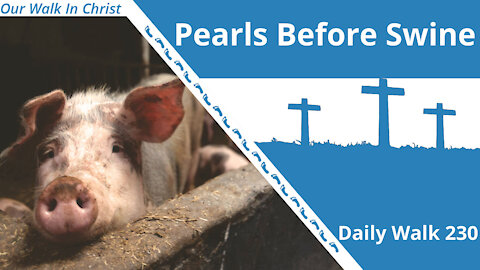 Pearls Before Swine | Daily Walk 230