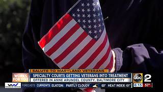 Specialty courts getting veterans into treatment