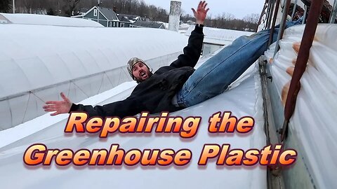 The greenhouse plastic ripped! | Update on the tomato plants | Wishwell Farms Vlog 3