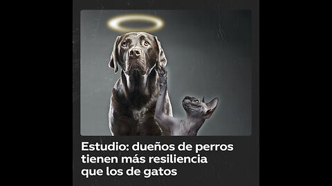 Estudio revela que los dueños de perros son más resilientes que los de gatos