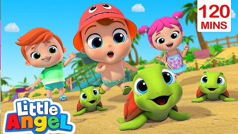 Beach Day Song (Turtle Rescue) _ Play Safe Outdoor _ Kids Nursery Rhymes