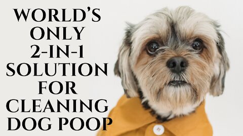 World’s only 2-in-1 solution for cleaning dog poop/Cool Gadget on Amazon You Should Buy/ Tech Gadget