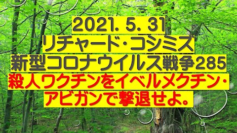 2021.05.31リチャード・コシミズ新型コロナウイルス戦争２８５