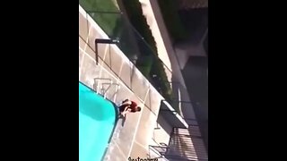 Khabib films Islam Makhachev saving bird from pool