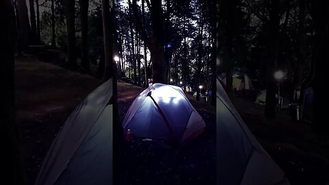 Star Trance Camping 🏕️