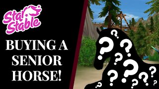 Buying a SENIOR HORSE! Star Stable Quinn Ponylord