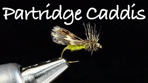 Lawson's Partridge Caddis Fly Tying Instructions - Tied by Charlie Craven