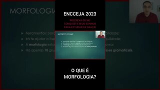 O QUE É MORFOLOGIA? - #shorts