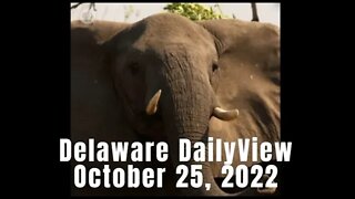 Food Shortages, Public Schools and Post COVID Test Scores. Delaware DailyViews: October 25th, 2022