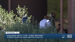 Economists estimate AZ unemployment rate is above 10%