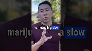 How To Quit Marijuana | Slow N' Steady Wins The Race
