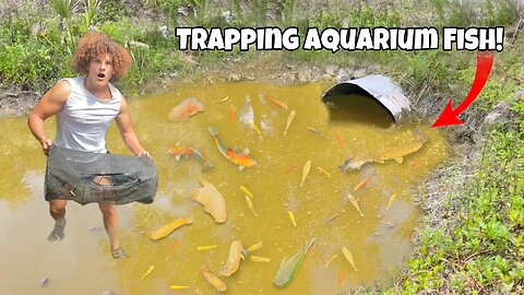 Trapping EXOTIC FISH for My AQUARIUM!
