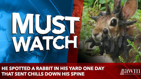 He Spotted A Rabbit In His Yard One Day That Sent Chills Down His Spine