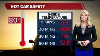 Geeking Out: Hot car safety
