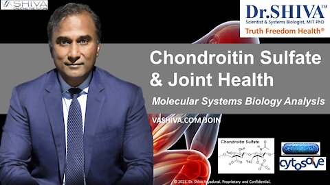 3 Ways How Chondritin Affects Joint Health. A CytoSolve Systems Biology Analysis.