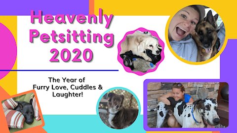 Heavenly Petsitting 2020: The Year of Furry Love, Cuddles & Laughter!